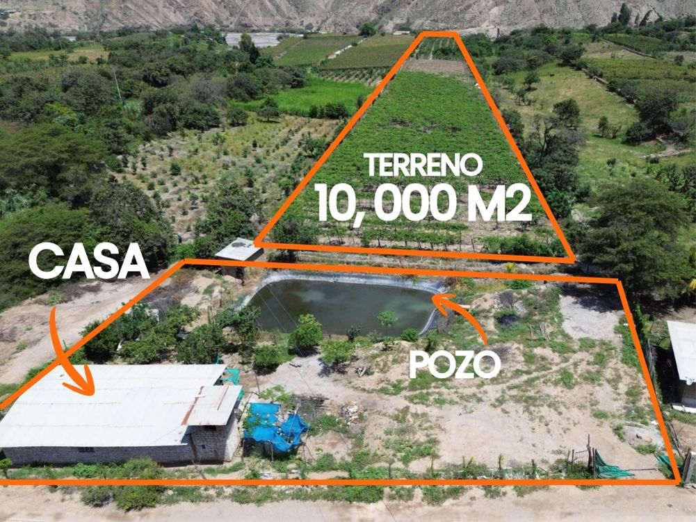 Terreno Productivo con Casa de Campo
