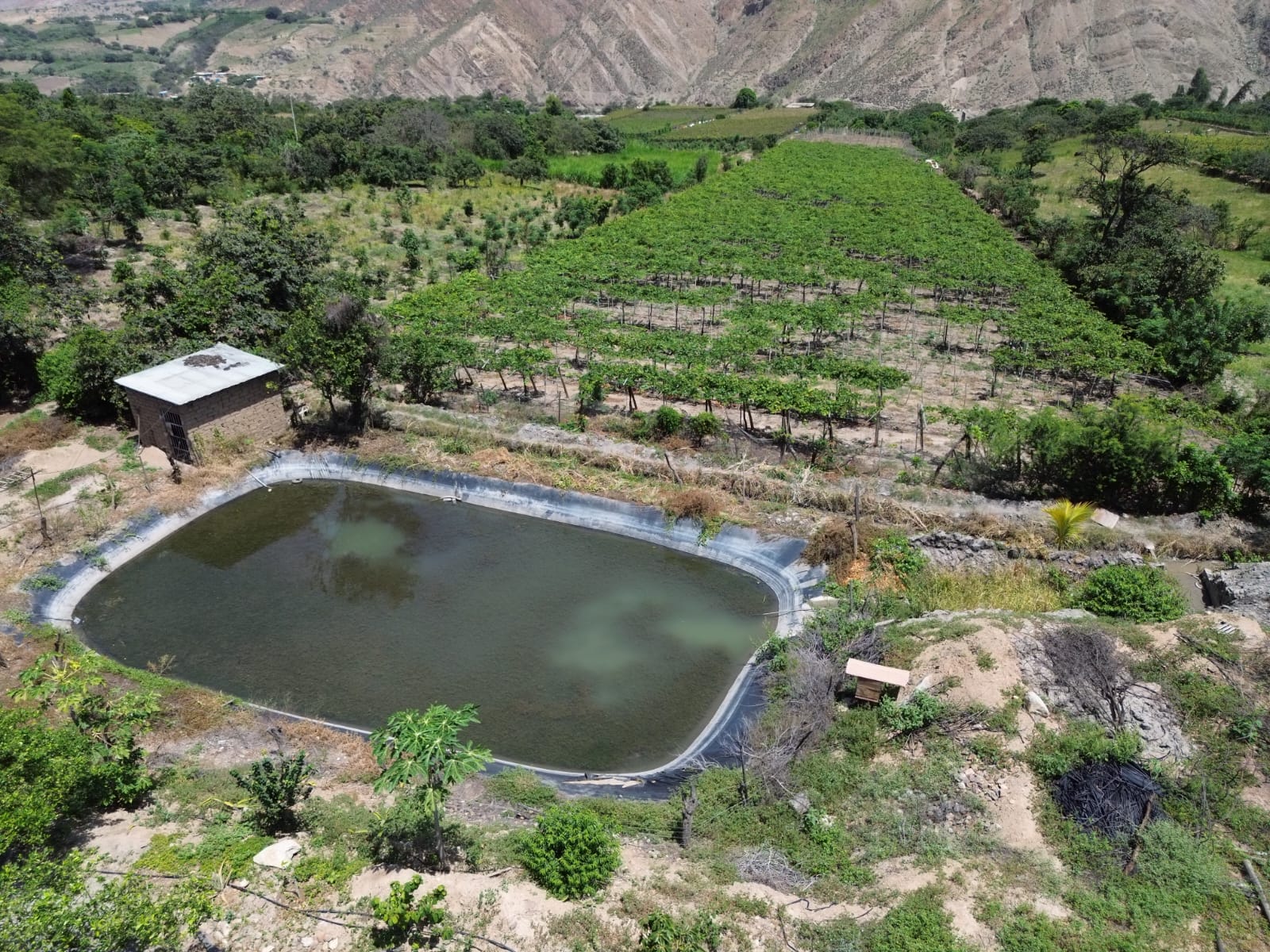 Terreno Productivo con Casa de Campo